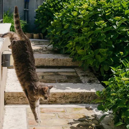 Corte Caiar 4* Caprino Veronese