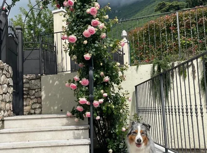 Bed & Breakfast Corte Caiar Caprino Veronese