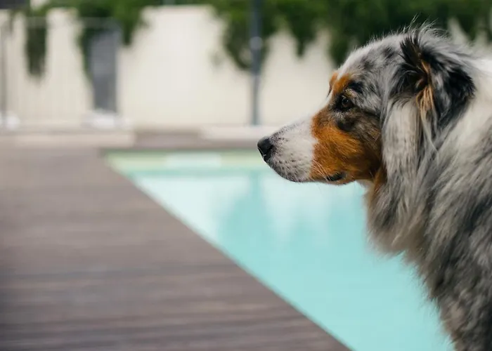 Bed & Breakfast Corte Caiar