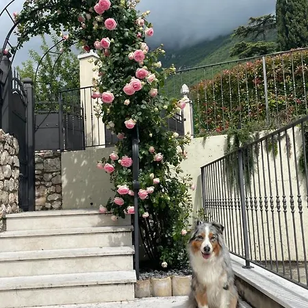 Bed & Breakfast Corte Caiar Caprino Veronese