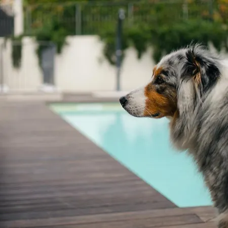 住宿加早餐酒店 Corte Caiar