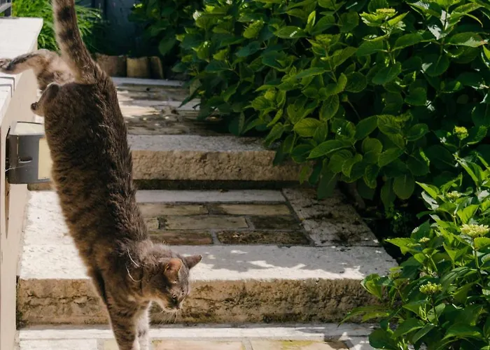 Corte Caiar 4* Caprino Veronese